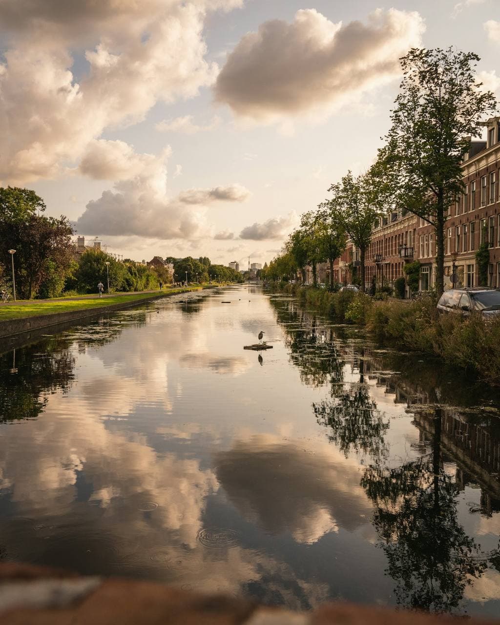 Trees reflected in the water in Oost