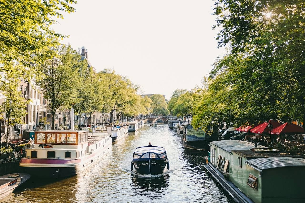 Houseboats with plants along a green canal